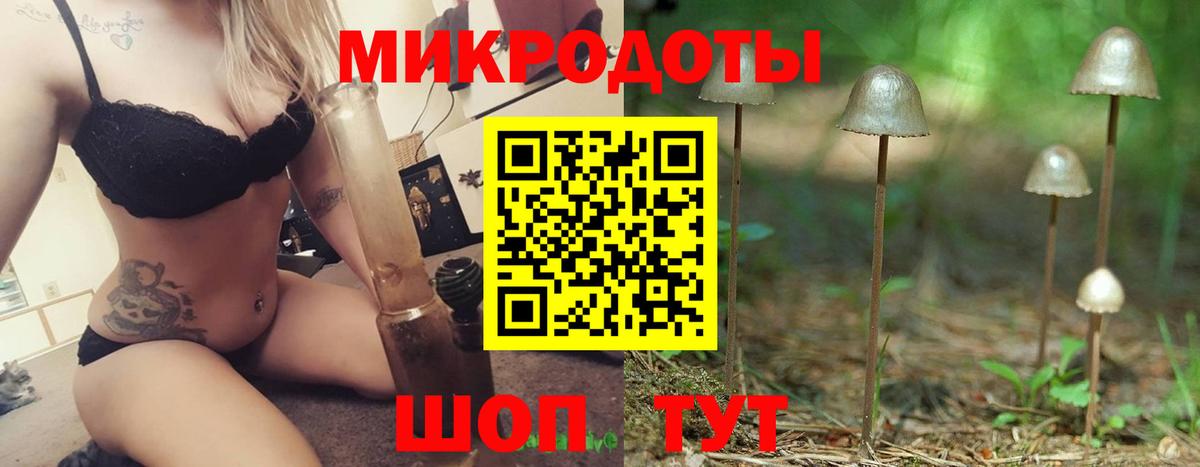 Галлюциногенные грибы Psilocybe Выкса
